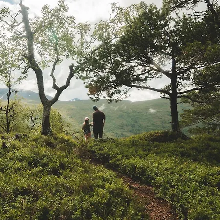 Tatil Evi Dream Mivo X - Mountain Views And Idyllic Location At Strandafjellet *