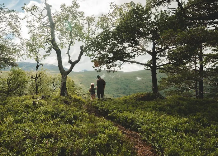 Tatil Evi Dream Mivo X - Mountain Views And Idyllic Location At Strandafjellet *